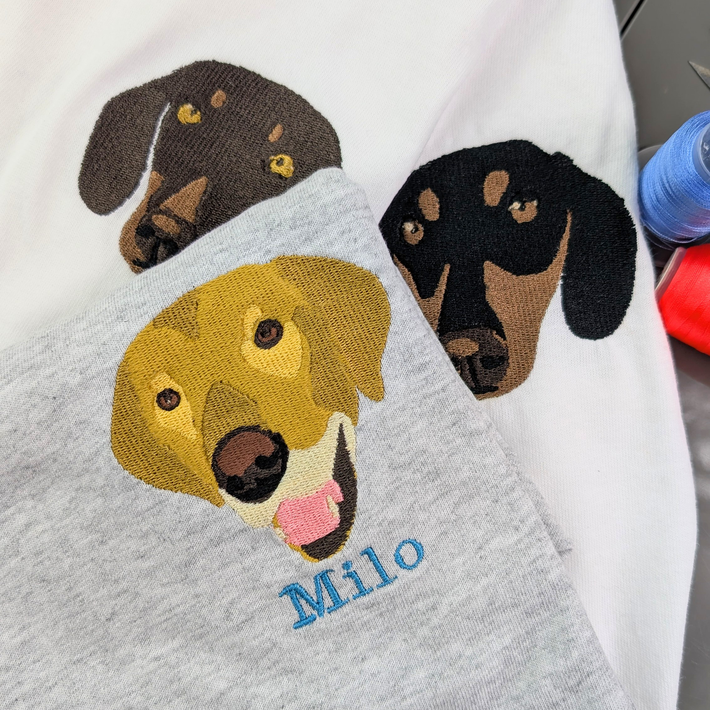 Personalised pet t-shirt